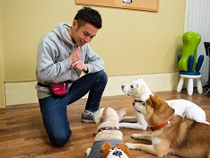 大阪ECO動物海洋専門学校 インタビュー