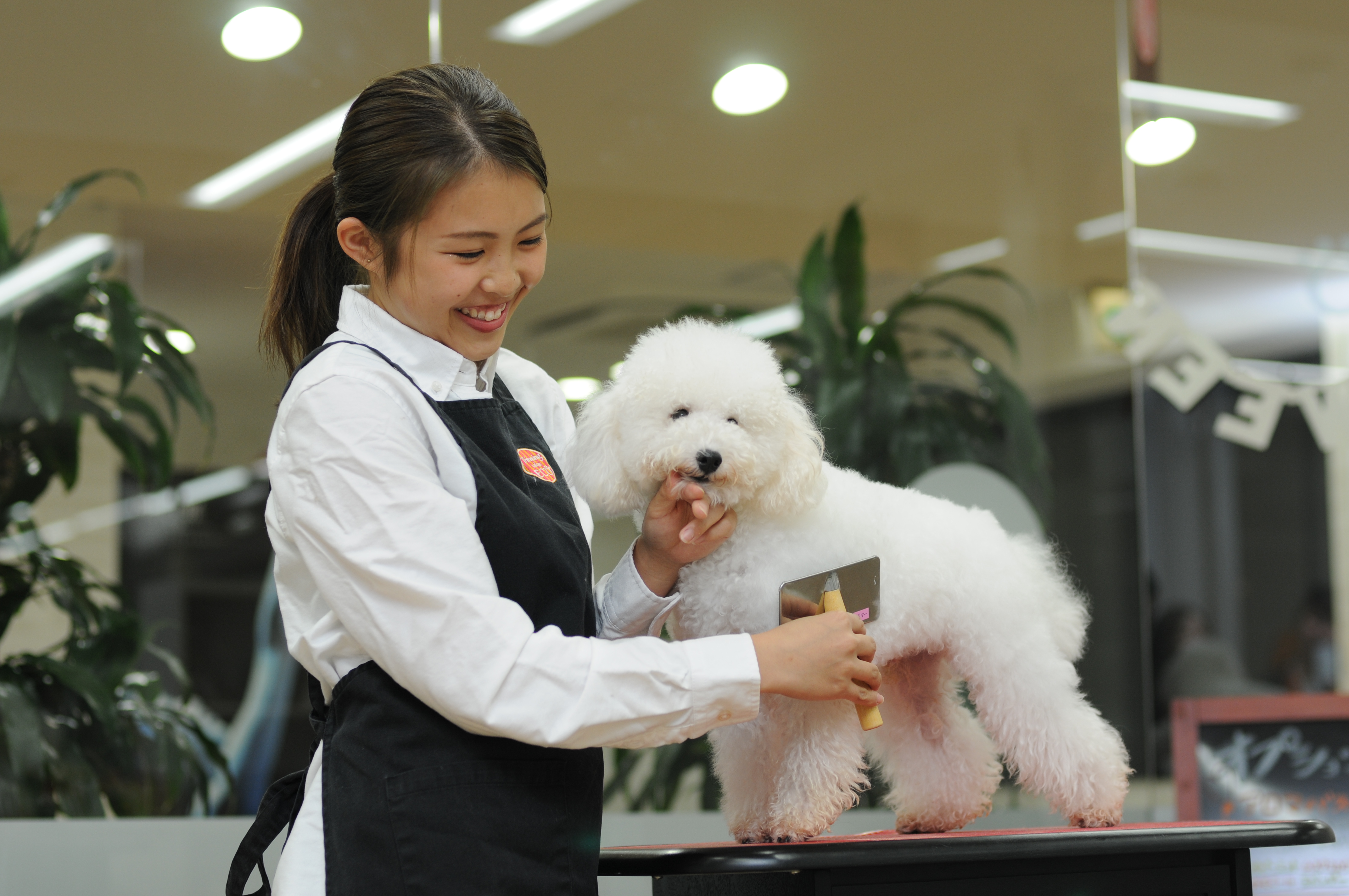 大阪ECO動物海洋専門学校 の特長 2