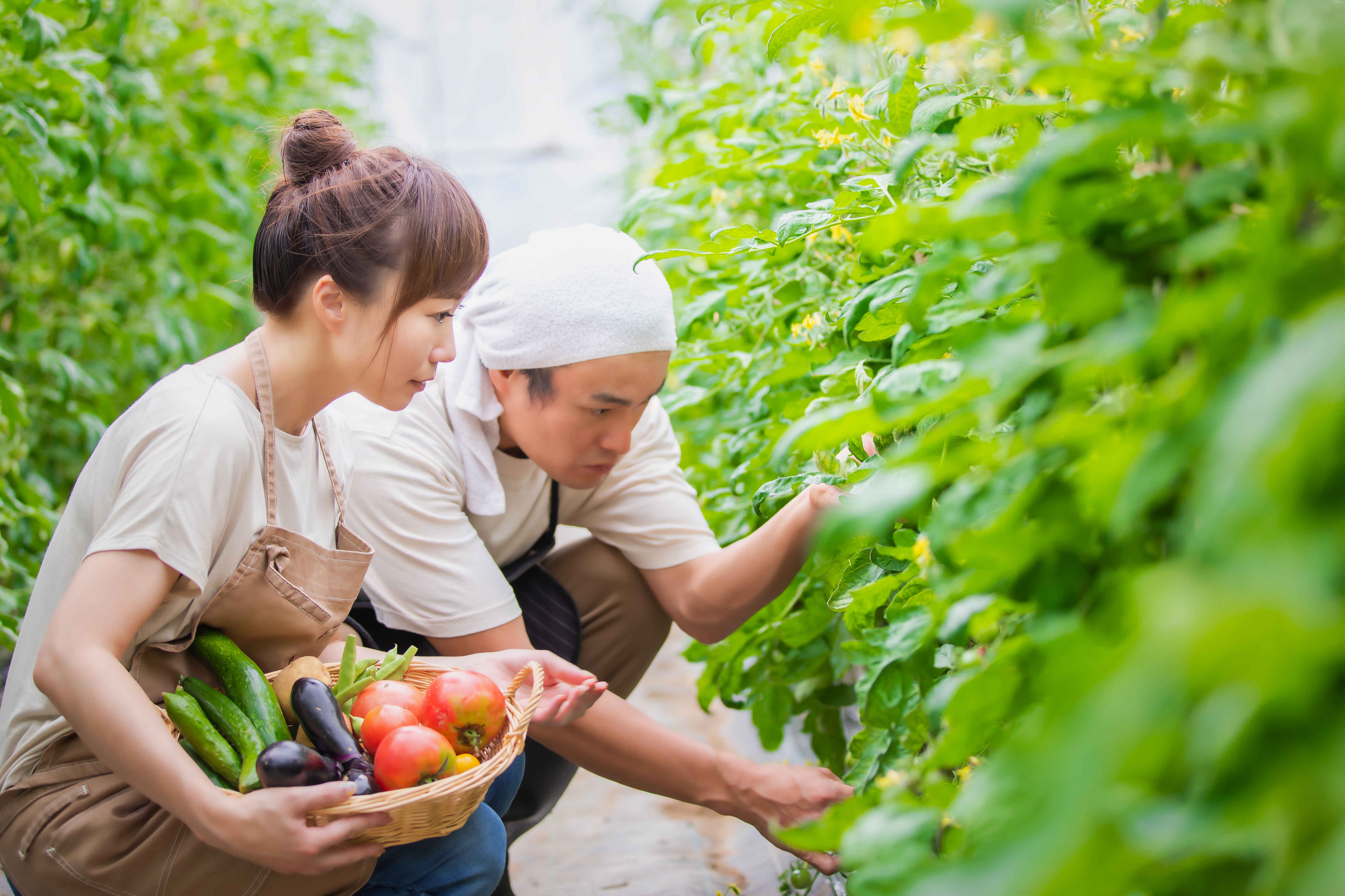 ZEN大学 の特長 2