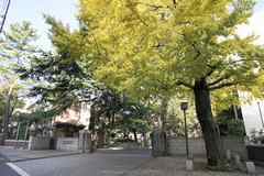 東京農業大学[大学公開講座]