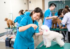 東京愛犬専門学校